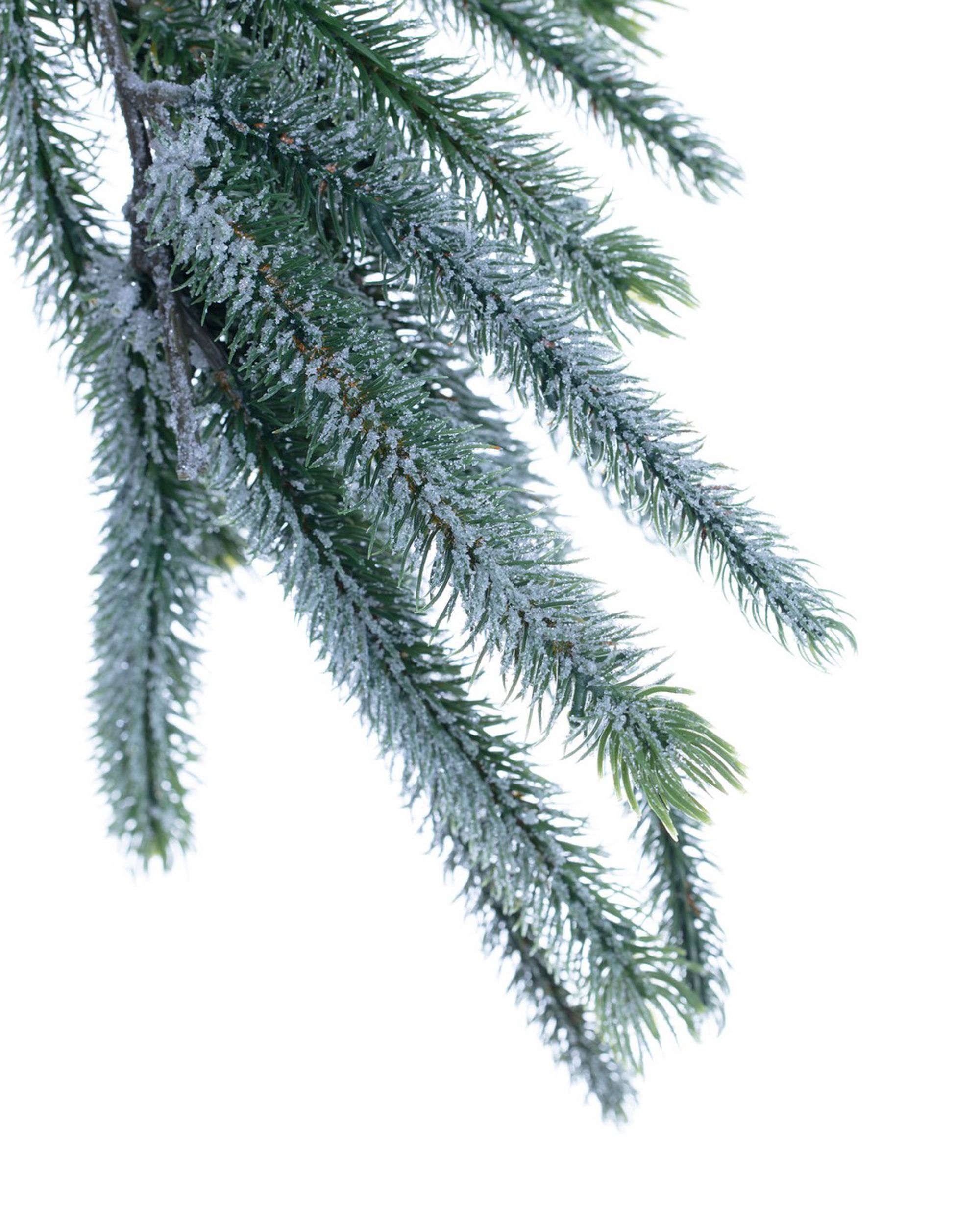 Pine Tree girland 10x10x200cm dérrel borított (hover)