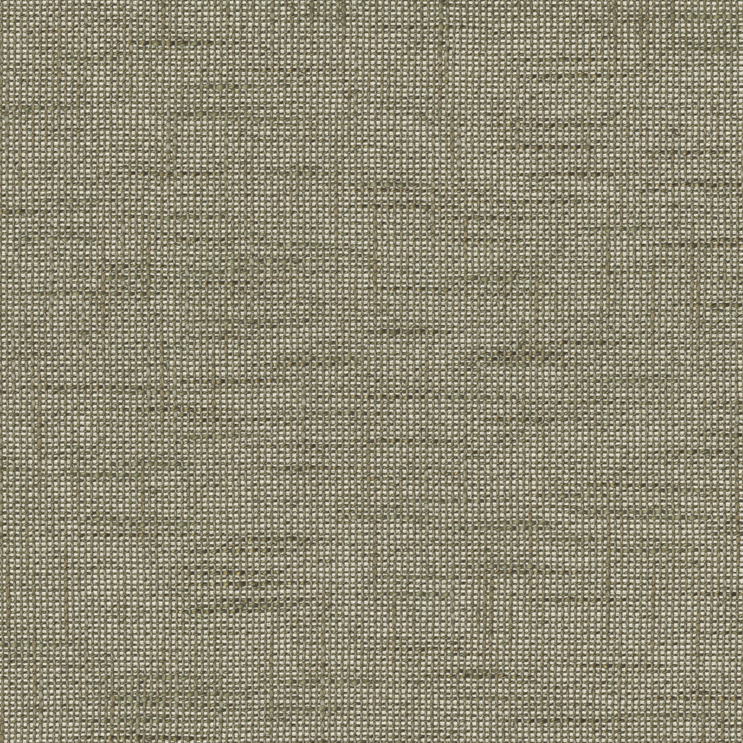 Lino Terra 145-49 olíva